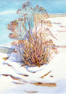 斯宾布里奇水彩风景老灌木在一个晴朗的冬日插画