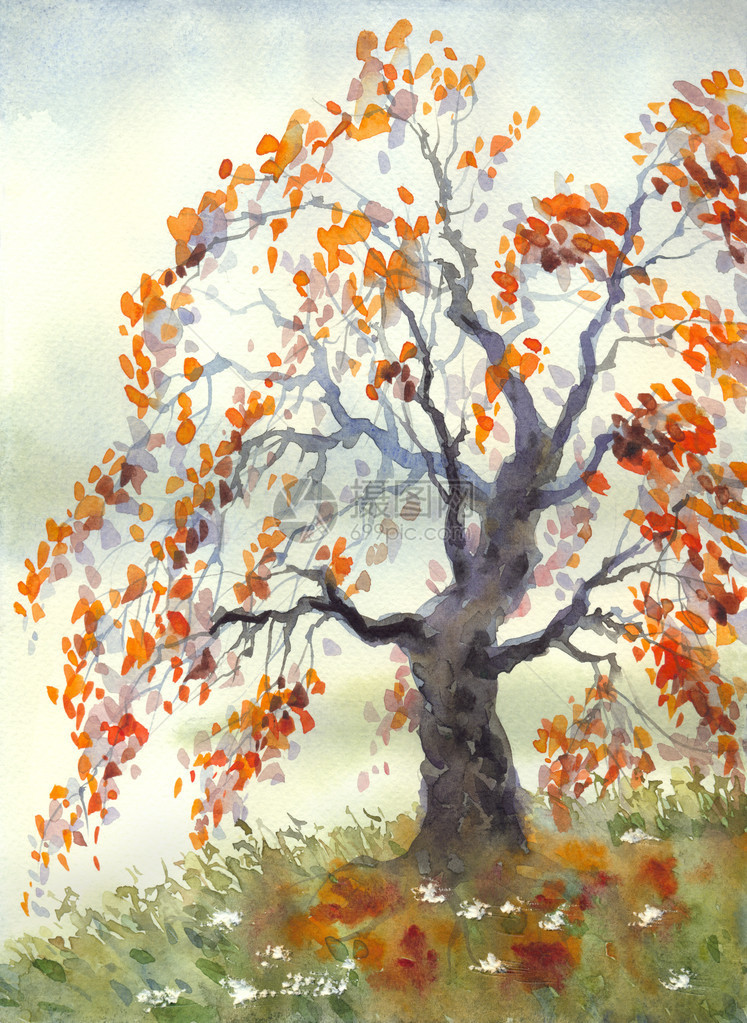 水彩色的风景古秋树和橙叶在宁静的图片