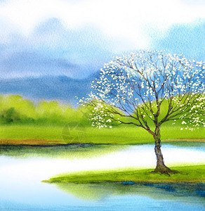河边的白樱花树水彩画背景图片