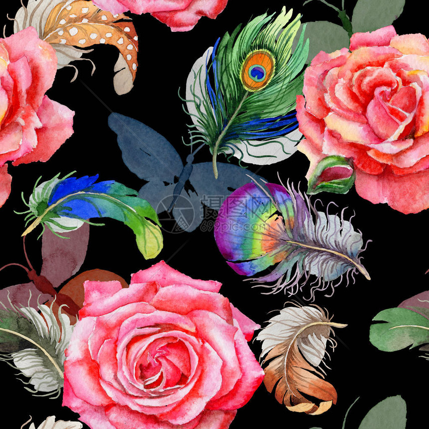 羽翼上的水彩鸟羽毛图案秋花野的背景纹理包装模式图片