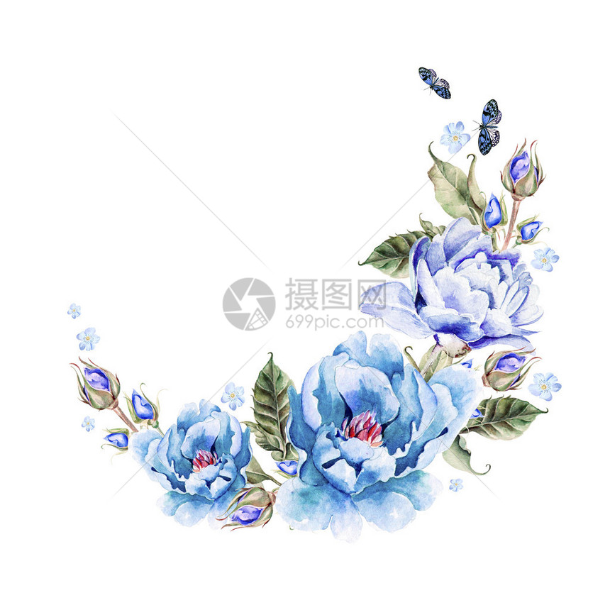牡丹花束水彩插图图片