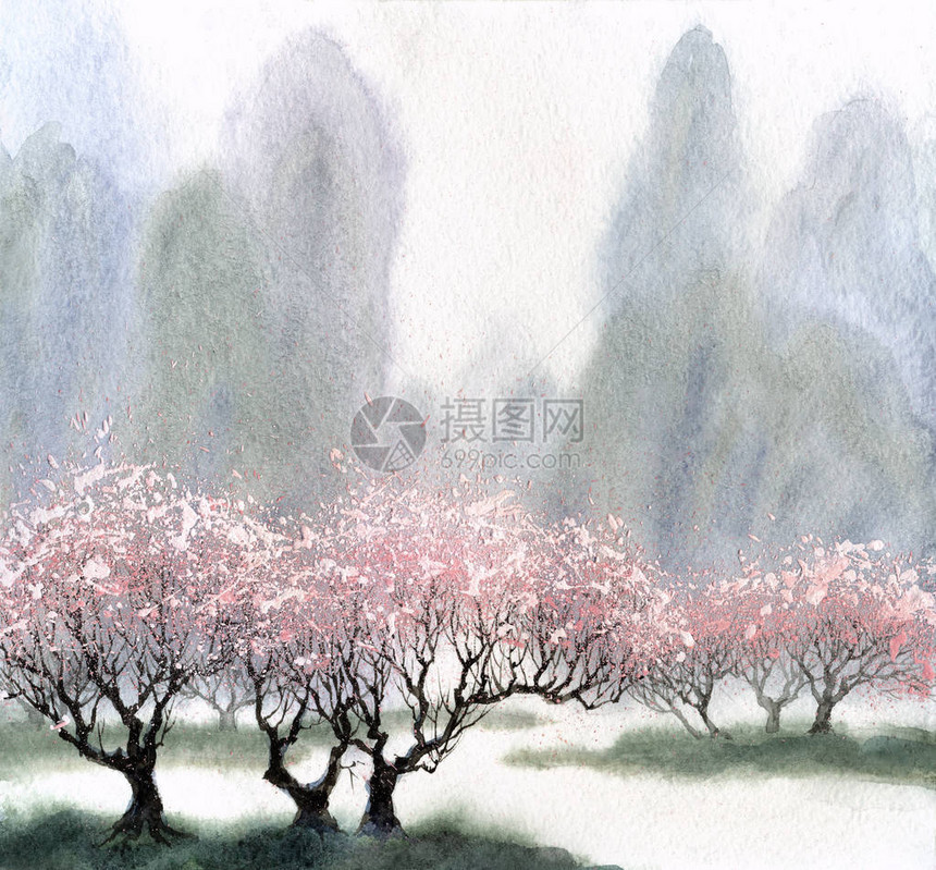 古典樱花树的画作图片