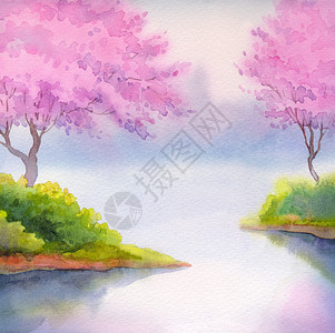 河边的樱花树水彩画图片