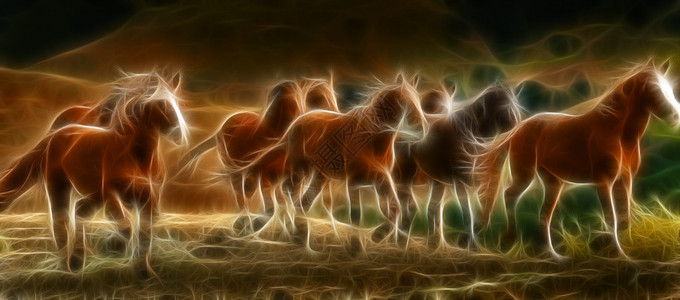 几匹野马奔跑的艺术插图图片