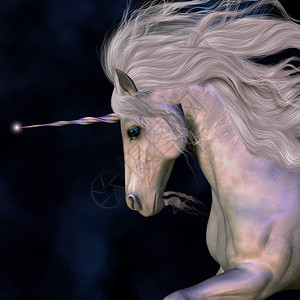 传说和神话中美丽的独角兽种马的魔力图片