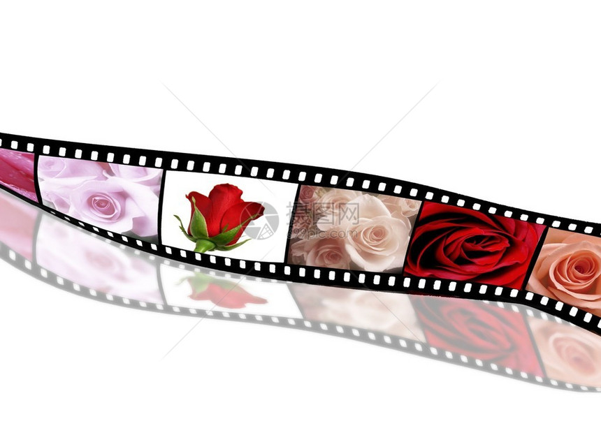电影胶片上的玫瑰系列图片