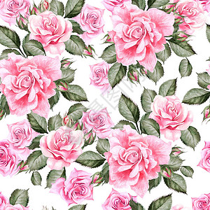 玫瑰花和叶子的水彩图案插图图片