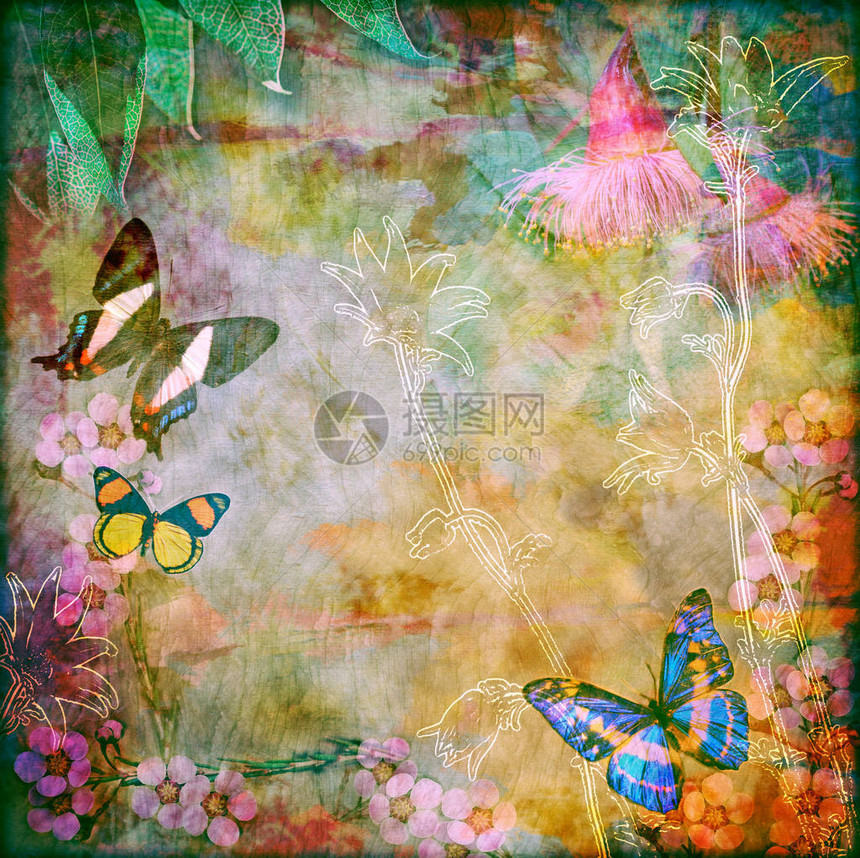具有澳大利亚蝴蝶的古老花卉背景多姿彩的木质纹理背景图片