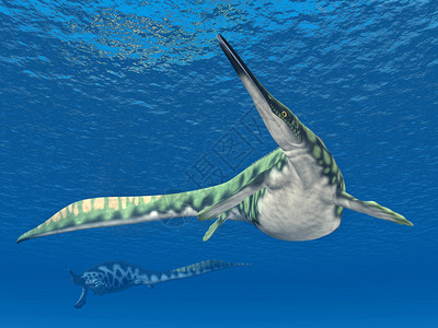 计算机以史前海洋爬行动物Hupehsuchus图片