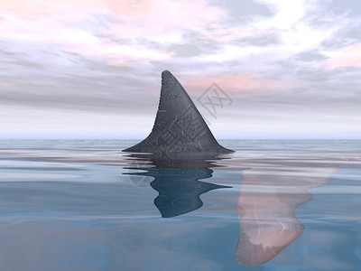 鱼翅电脑制作了3D插图用设计图片