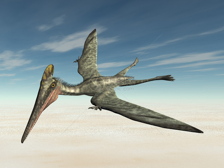 与PterosaurPteodactylus一起生成了3D图片