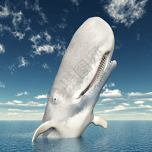 白鲸计算机生成了三维插图设计图片