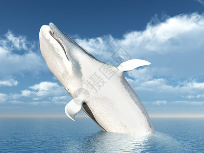 白鲸计算机生成了三维插图用跳跃的设计图片