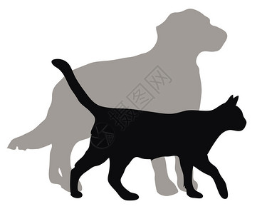 家养猫和狗的插图背景图片