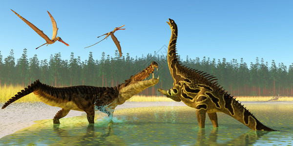 当Kaprosuchus海洋爬行动物面对Agustinia恐龙时图片