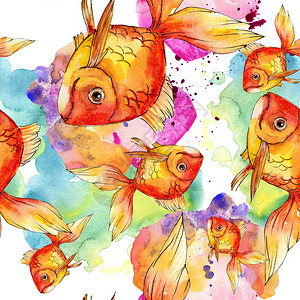 水彩生多彩的金鱼图片