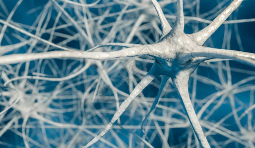大脑中神经元的3D渲染插图图片