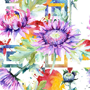 水彩风格的野花菊卉图案图片