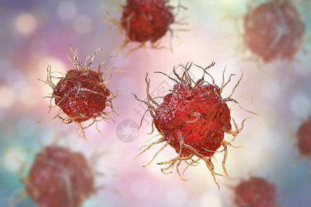Dendritic细胞抗原呈现的免疫细胞图片