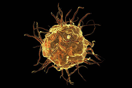 在黑色单细胞免疫细胞近视3D插图上隔背景图片
