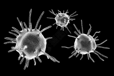 以黑色背景隔离的寄生虫人体致病微生物高清图片