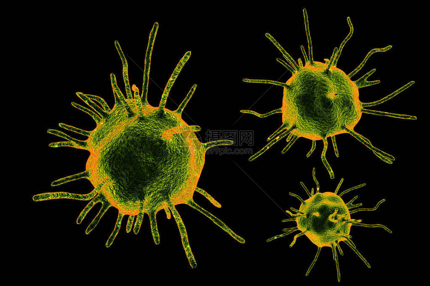 以黑色背景隔离的寄生虫人体致病微生物图片