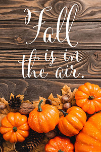 秋天装饰和南瓜的顶部视图接近秋天的南瓜在木制背图片
