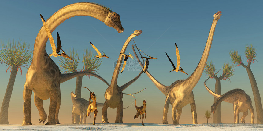 恐龙和恐龙加入Diplodocus恐图片
