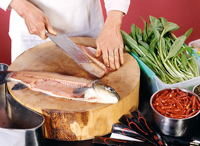 鱼食生产中的厨师图片
