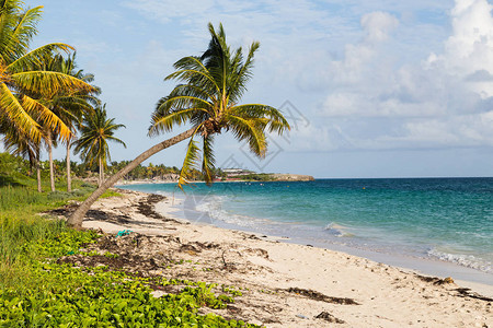 古巴可岛沿岸美丽的海滩之一高清图片