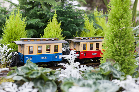 加拿大安略省多伦艾伦花园的玩具火车被温图片