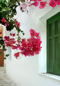 希腊斯基亚索斯岛高清图片