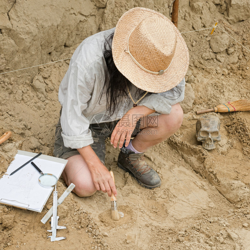 考古学家在工作时刷揭示和图片