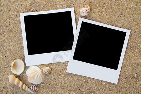 海滩上的宝丽来相框周围有贝壳图片