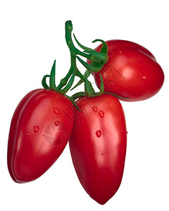 圣马萨诺番茄团或TOV葡萄图片