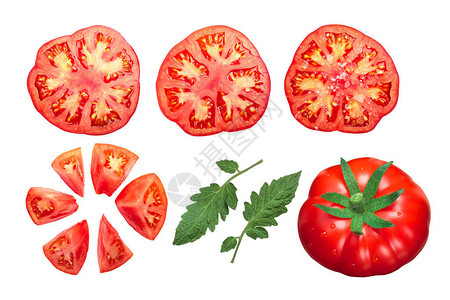 番茄Solanum图片