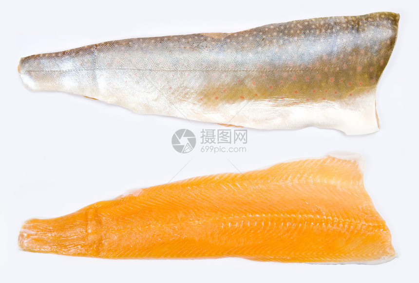 圆角北极红点鲑鱼鳟鱼图片