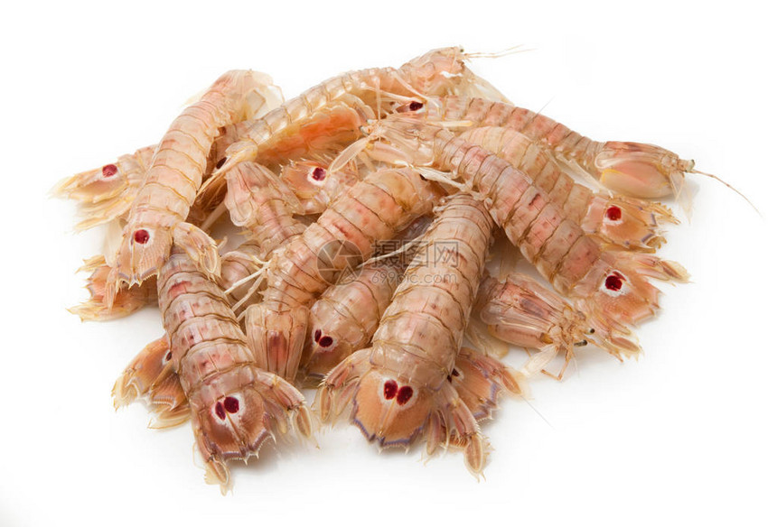 白色背景中的新鲜螳螂虾图片