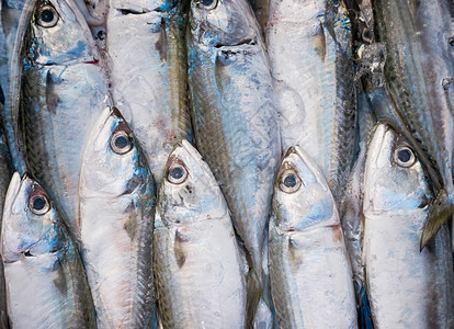 鱼市场上的一堆新鲜鲷鱼图片