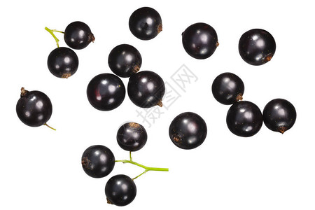 黑Ribesnigrum草莓图片