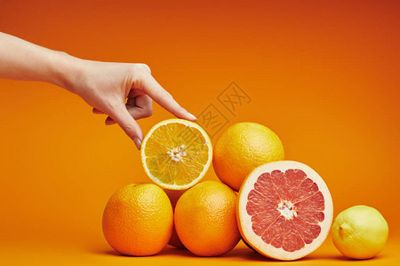 人手的裁剪镜头和橙子上新鲜成熟的柑橘类水果图片