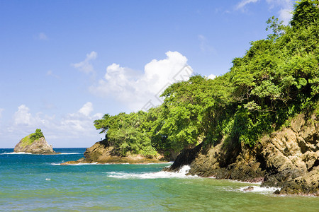 多巴哥西海岸图片