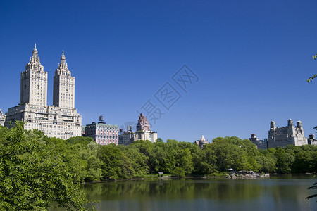 从纽约中央公园的全景图片