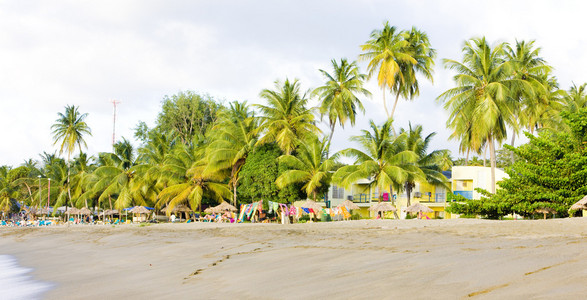 海龟滩多巴哥图片