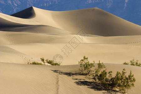 谷沙漠中的著名沙丘图片