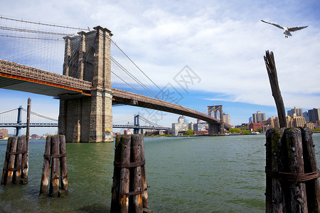 布鲁克林和曼哈顿大桥图片
