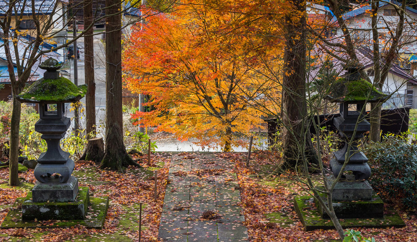 日本长野一山市的秋树和传统日本图片