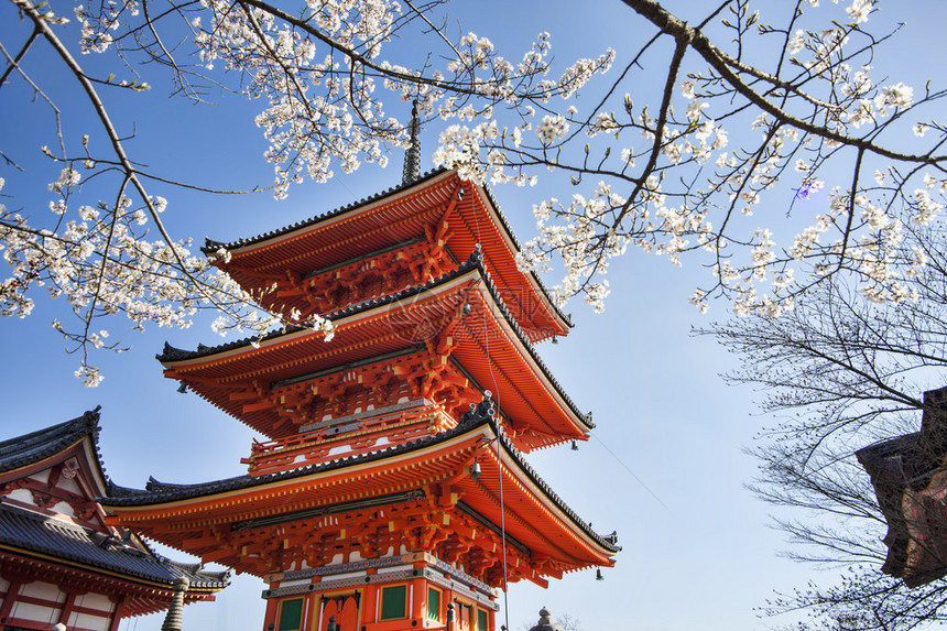 日本京都2015年3月28日图片