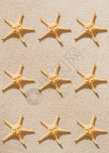 在沙滩上重复海星的俯视图高清图片