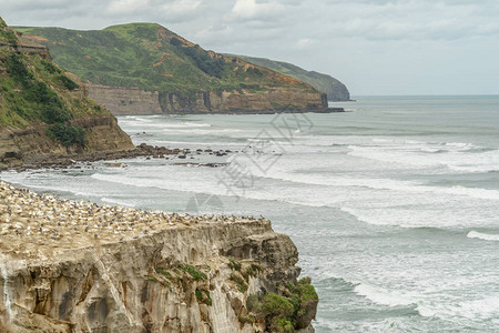 新西兰穆里瓦伊海滩的暴风大海和岩石悬崖图片